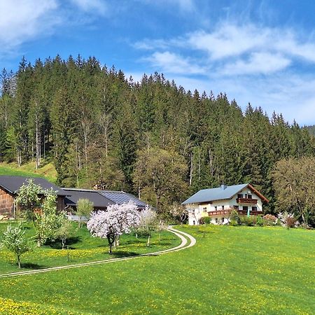 Biobauernhof Poidlbauer Villa Göstling an der Ybbs Exterior photo