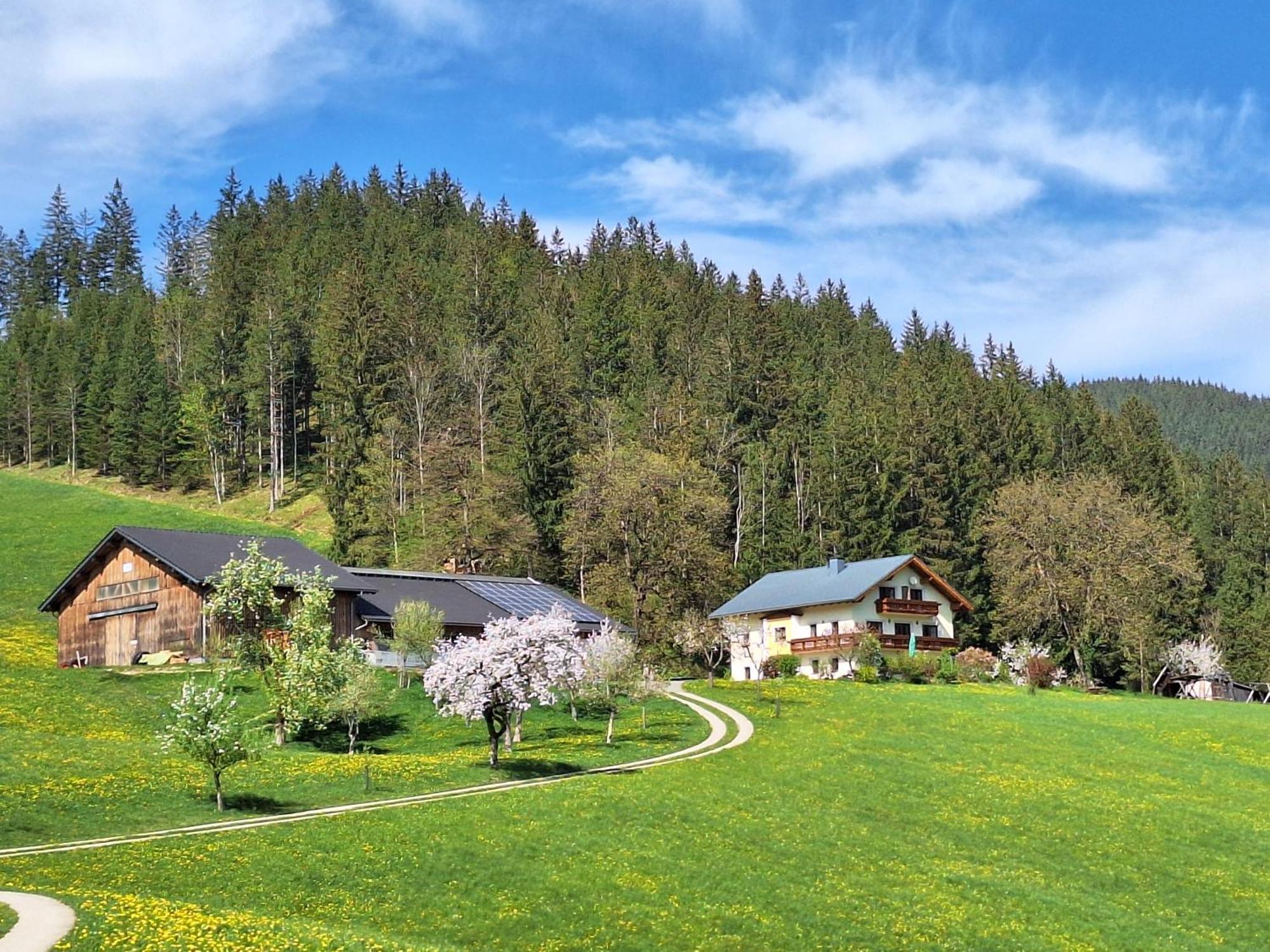 Biobauernhof Poidlbauer Villa Göstling an der Ybbs Exterior photo